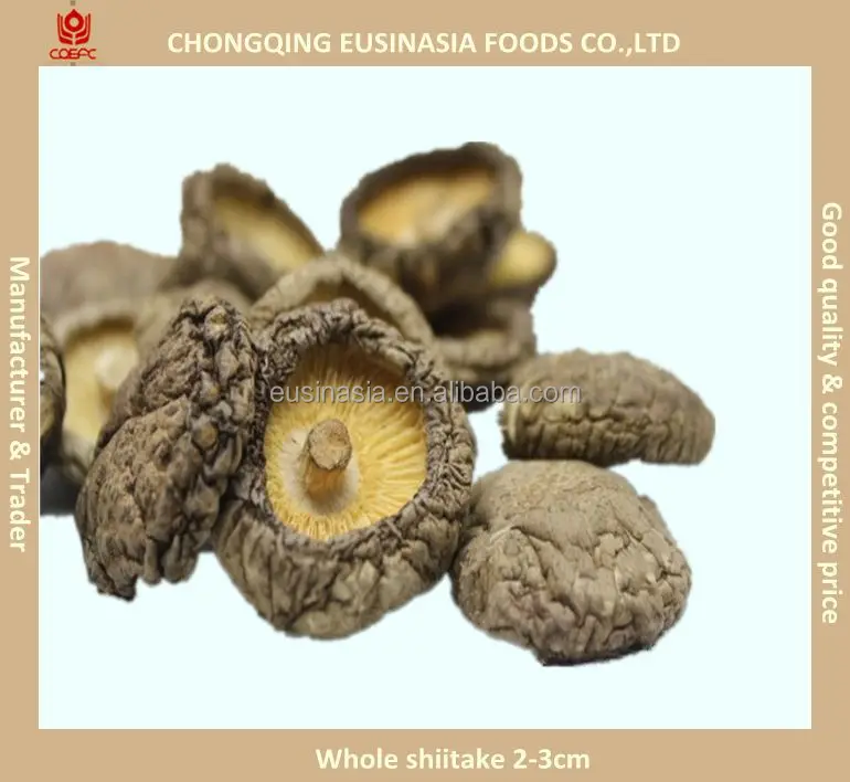 
Dried mushrooms sale boletus edulis/champignon/morchella/oyster/shiitake etc 
