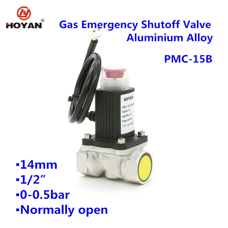 
CE support natural gas LPG gas solenoid valve 