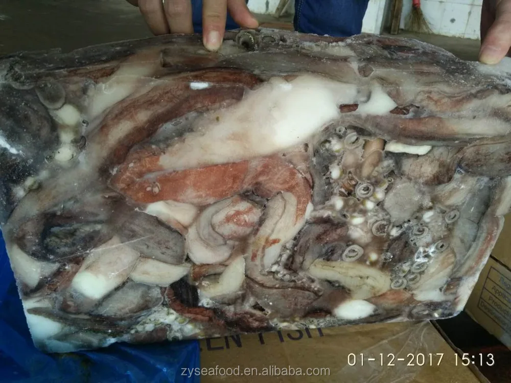 wholesale frozen cheap giant squid tentacles fish bait Squid Sexual Tentacles