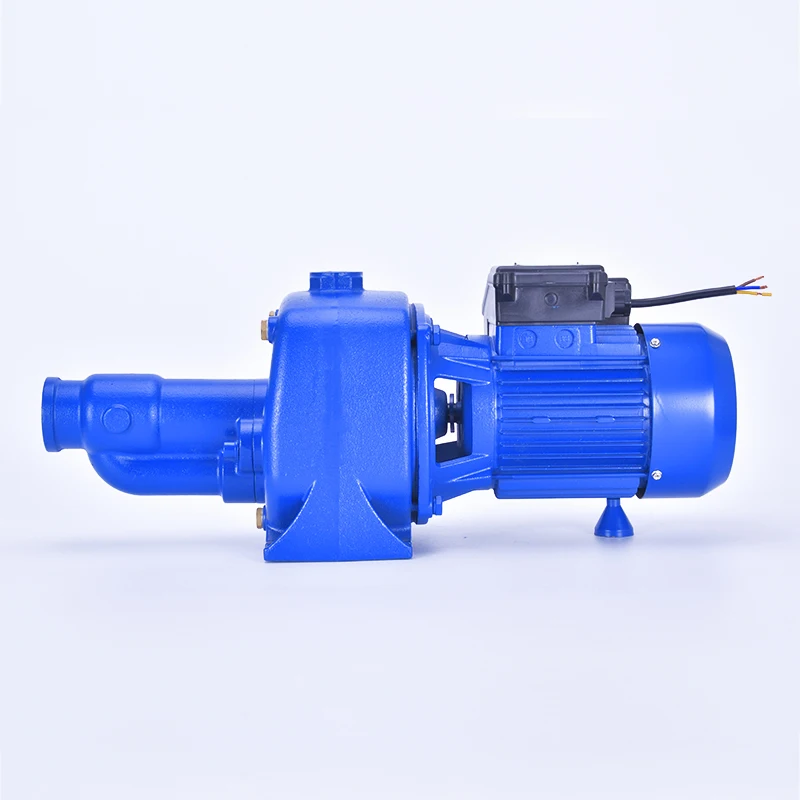 large flow high lift heavy duty twin brass impellers cast iron deep well self priming pump