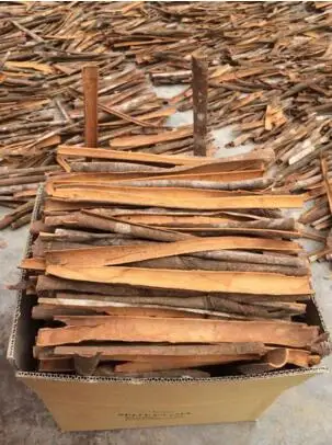 Factory Supply Wholesale Price Split Cassia Cinnamon from Vietnam Top product for Export