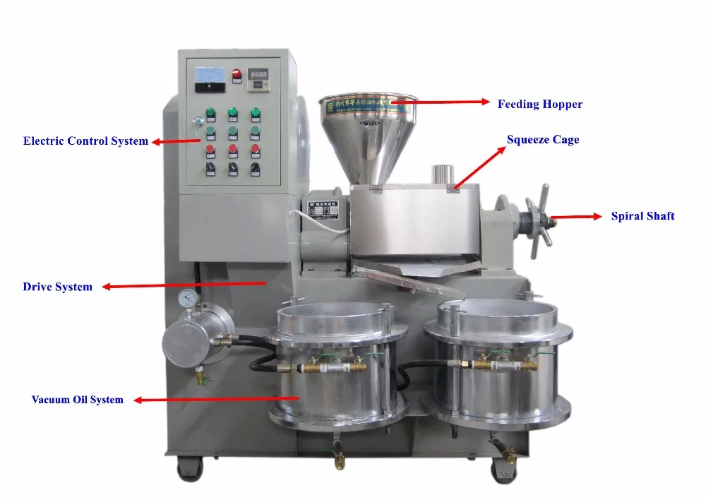 ground nut frankincense basil  peanut sunflower seed castor sesame palm kernel oil extraction machine