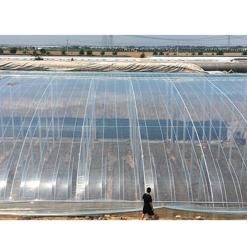 Plastic sheet greenhouse cover agriculture polyolefin (PO) films