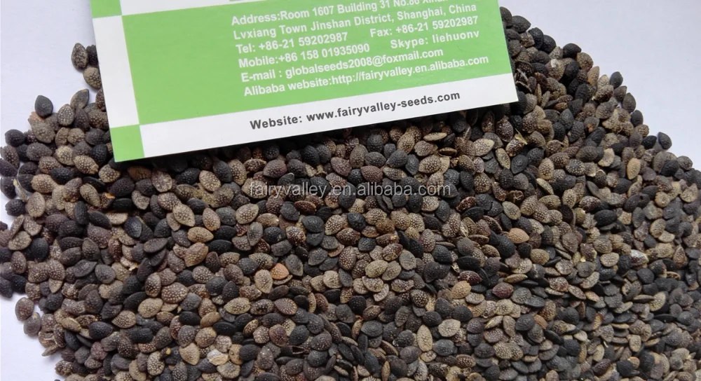 
High germination rate Passionforaedulis seeds Passionfruit seeds fruit tree seeds for planting 