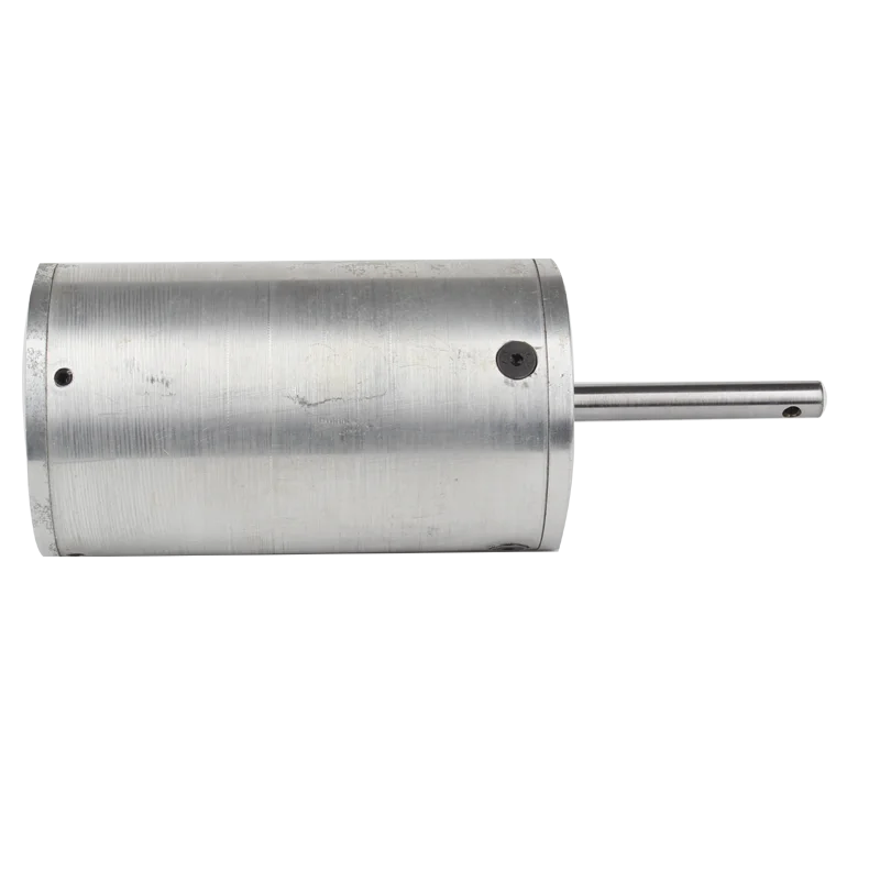 12v / 24v electrical dc motor bldc brushless motor with customized power