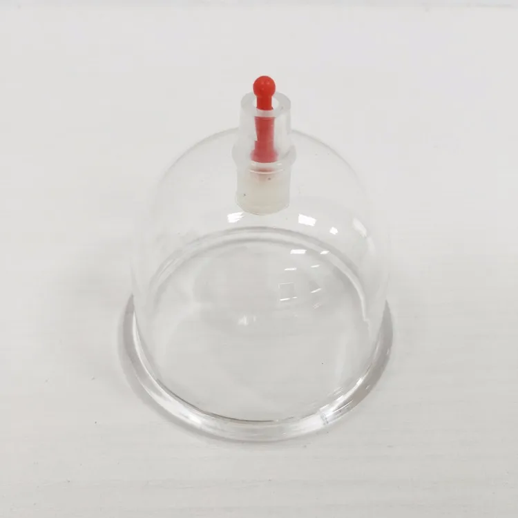 Vacuum Cupping Set for Health Traditional 12 Cups Chinese Medicine Apparatus First-class Plastic AW-12