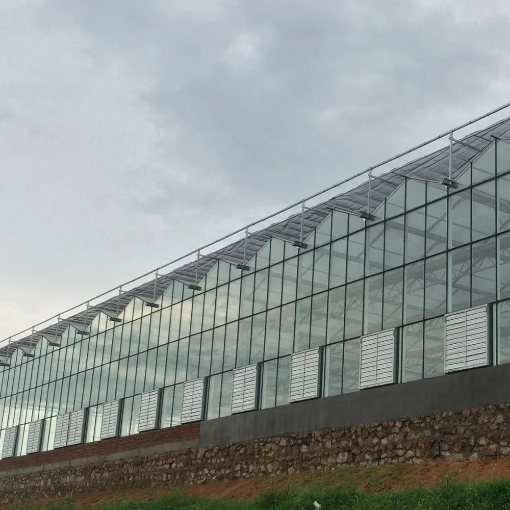 Hot-selling agricultural greenhouses Small greenhouses hydroponic greenhouse systemsare for sale