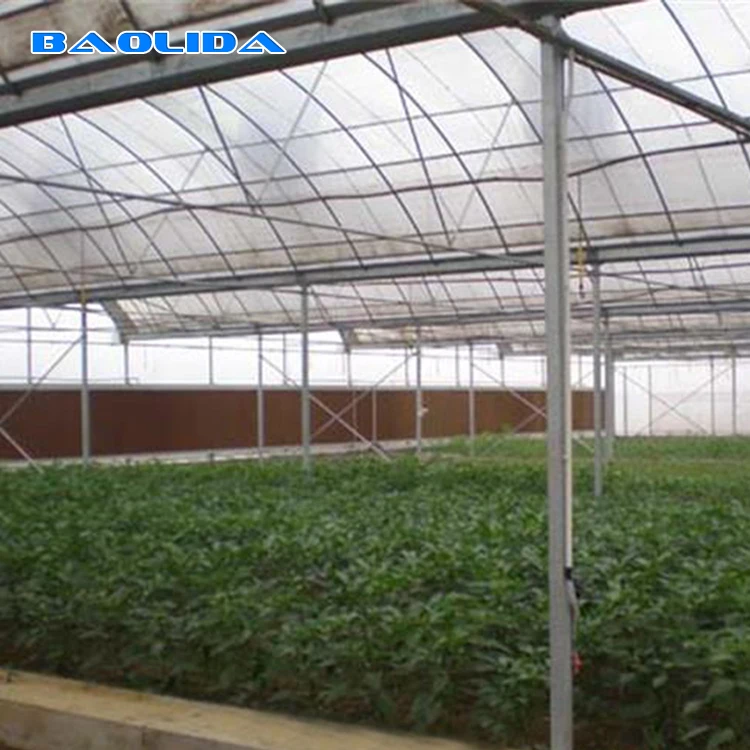 Climate Control System Intelligent High Quality Greenhouse