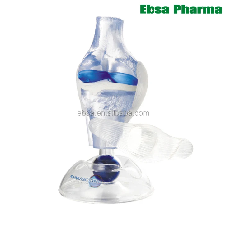 Advanced Medical Supplies Human Teaching Clear Knee Model