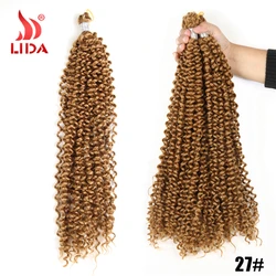 Lida Freetress water wave Curly Bohemian Crochet hook 100% Crochet braiding hair