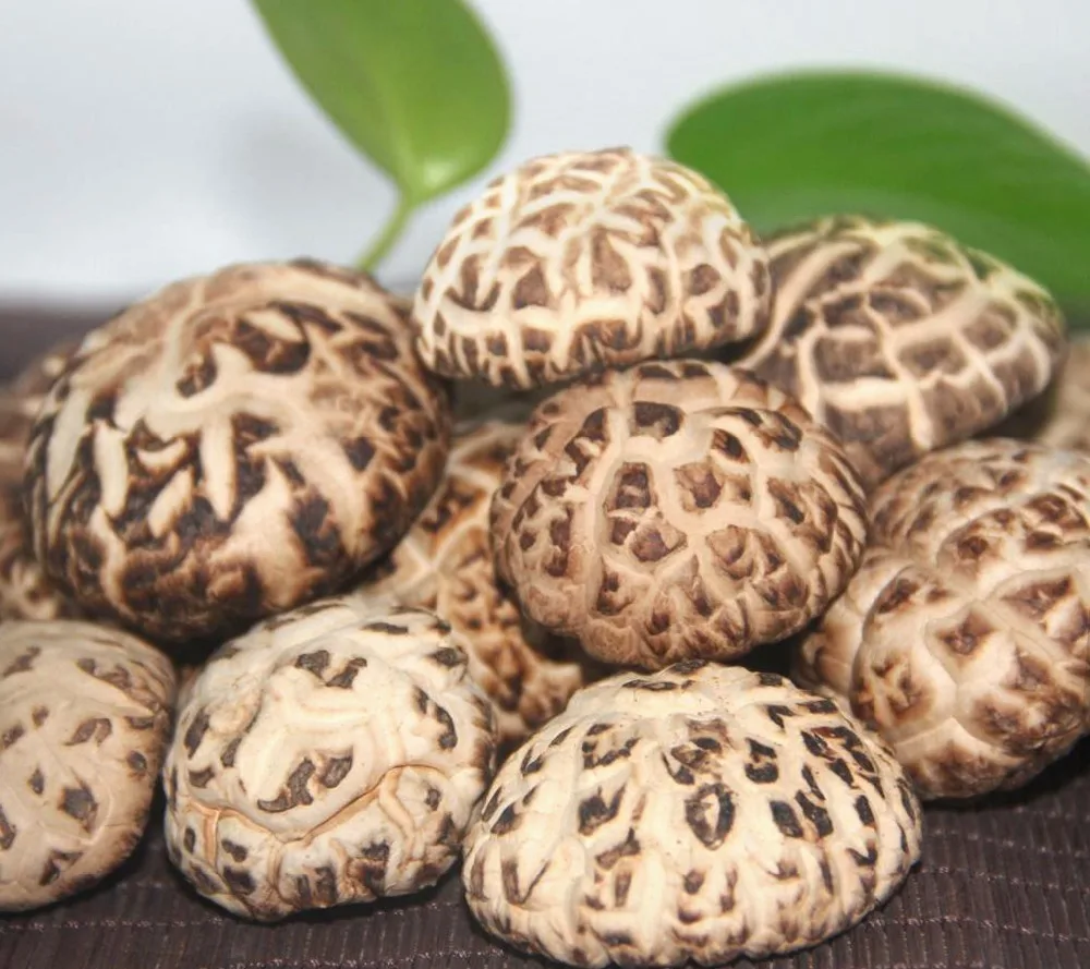 
China Natural Hot Sale Cheap Prices 1Kg Dried Shiitake Mushroom 