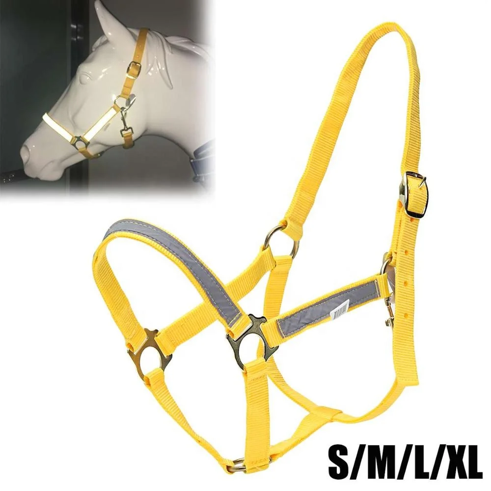 PP Fluorescent Yellow Horse Collar Bridle Halter with Light Reflective Tape High Visibility for Horse Riding Equestrian S/M/L/XL