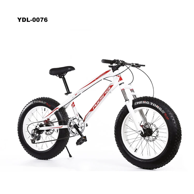 
Factory Double Disk Bikes 20 Inch Beach Bicycle Fat Tire Snow Mountain Bike 