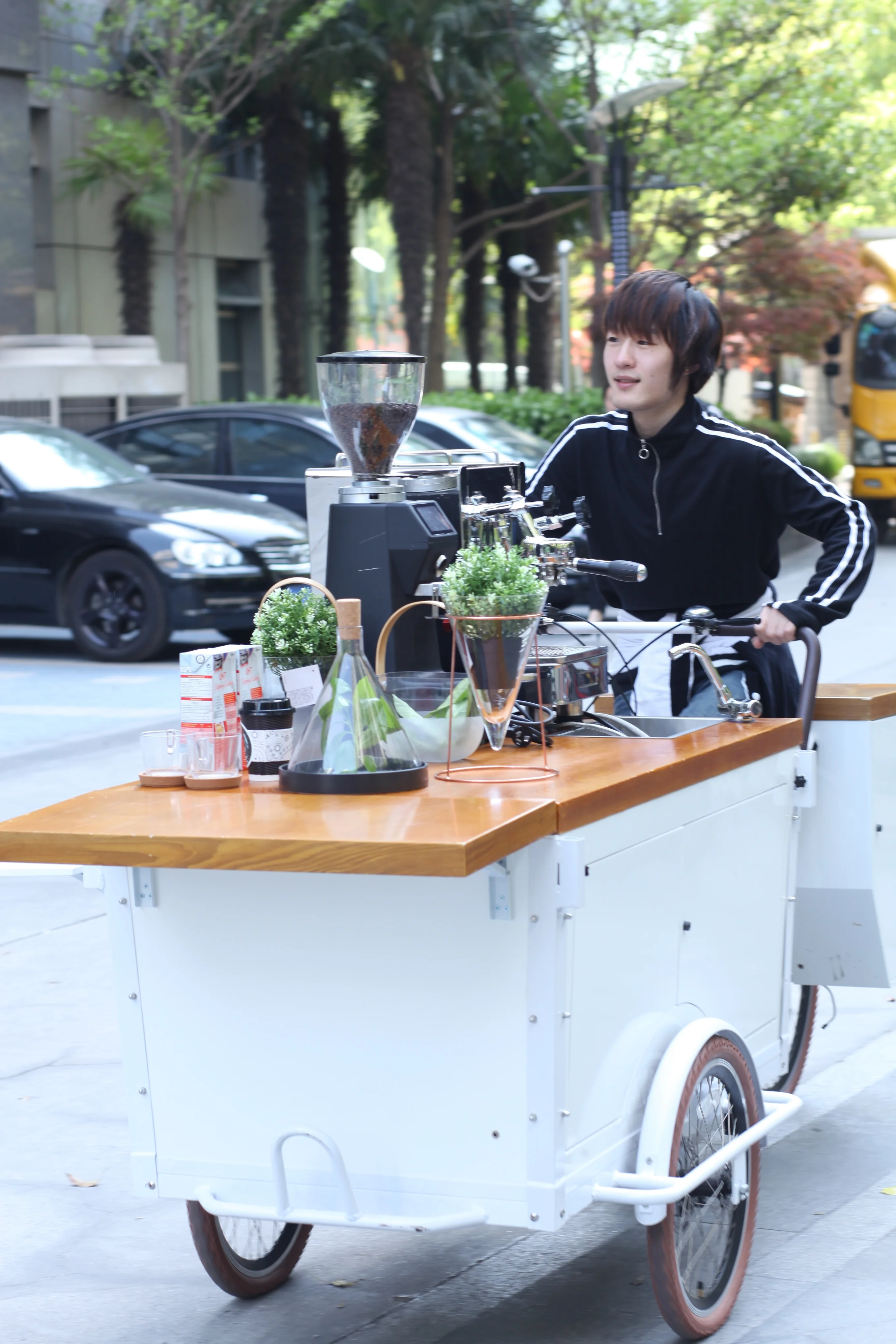 Electric Mobile Food Carts Coffee Bike For Sale