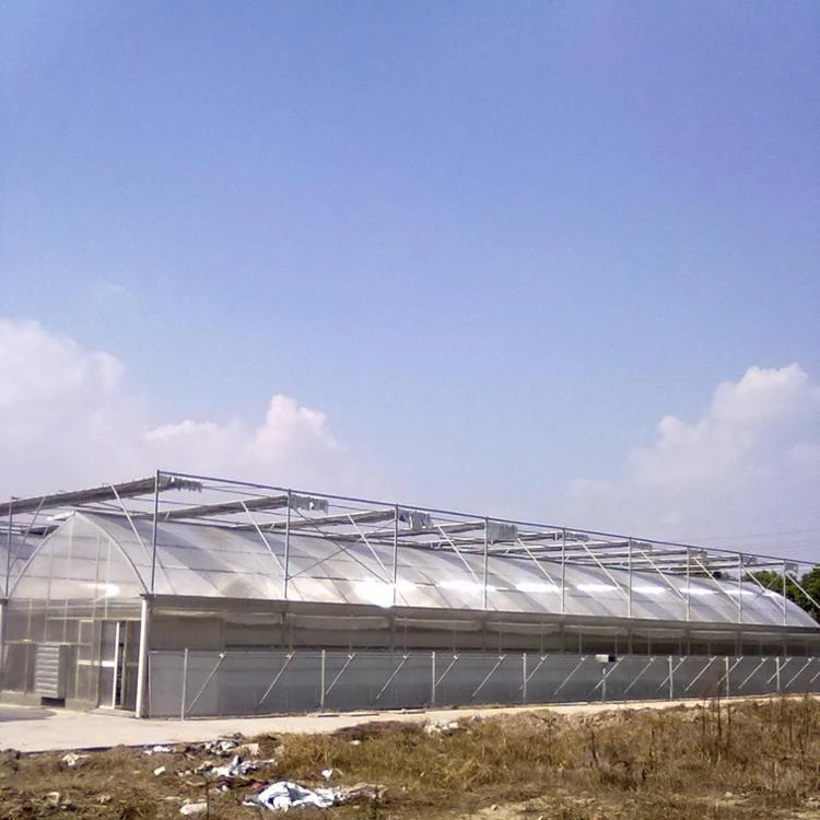 Long Service Life Double Layer Or Multilayer PC Hollow Sheet Multi Span Venlo Type PC Board Greenhouse