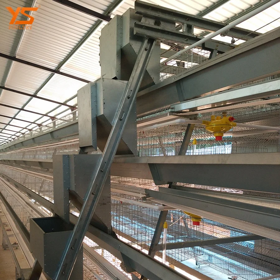 Battery Type A layer Egg Chicken Cage in Sri Lanka