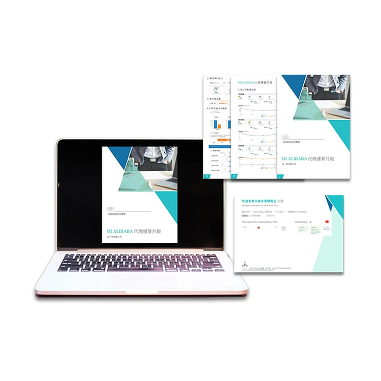 
Alibaba Mini Site Web Page Designing 