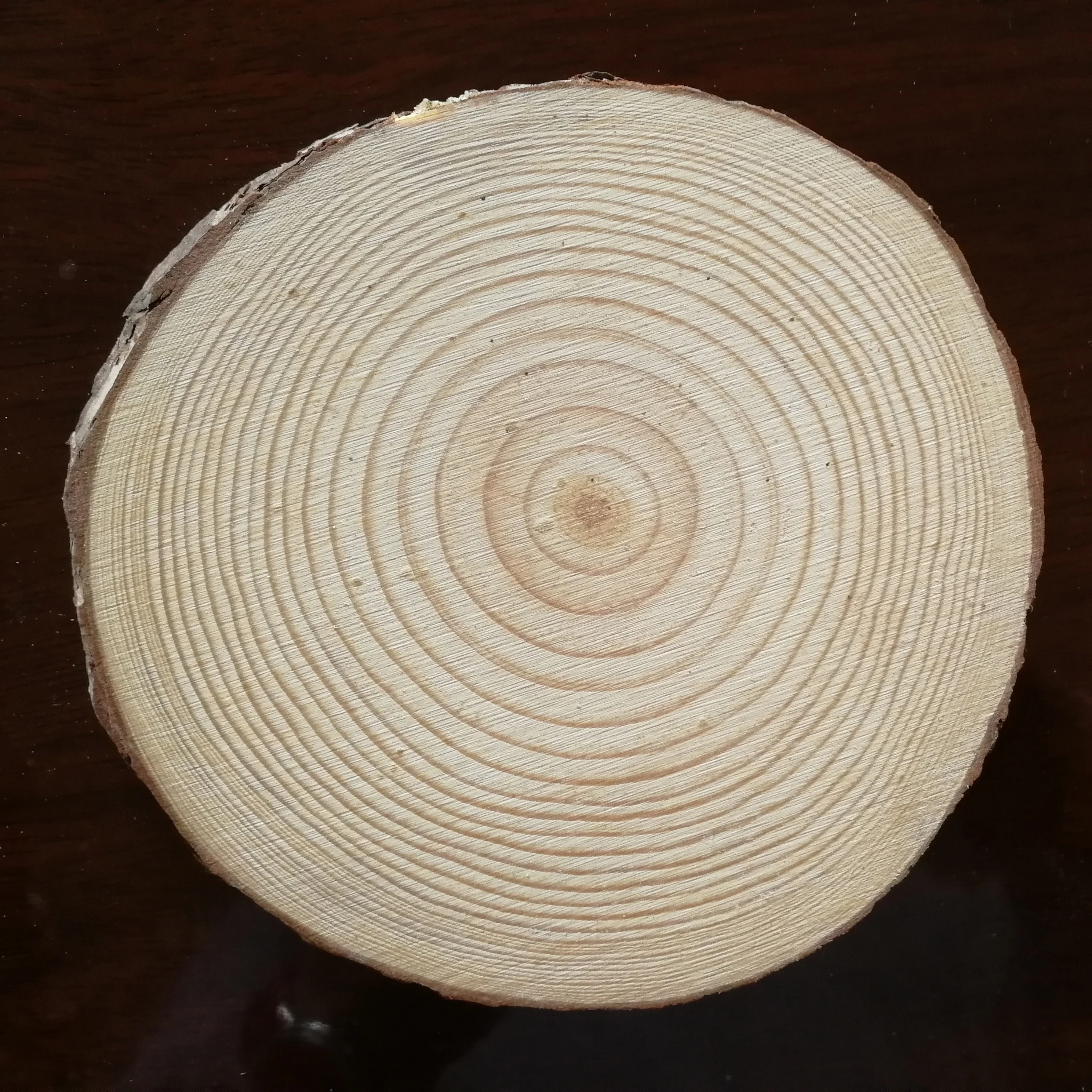 Оптовая продажа, круглые ломтики из сосны для рукоделия