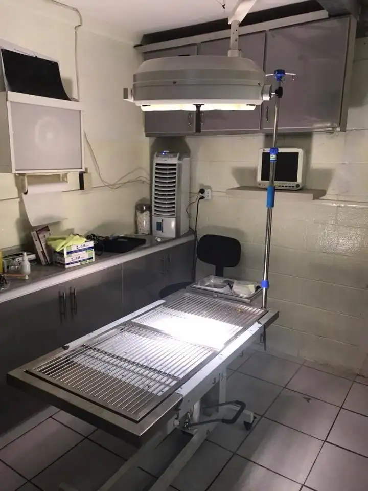 LED Surgical Operation Shadowless Lights Portable Veterinary Lamps for Vet Animal Hospital