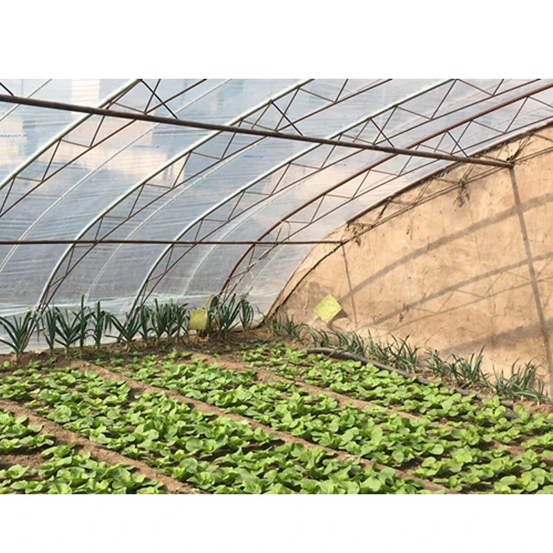 Plastic sheet greenhouse cover agriculture polyolefin (PO) films