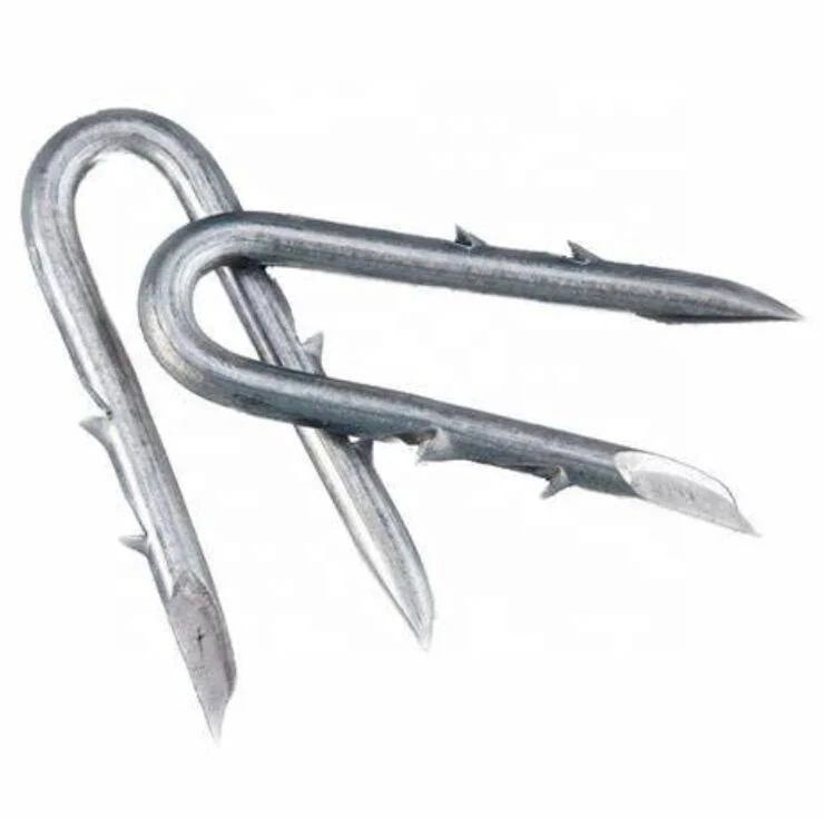 u nail ,u shape Fence Staple for attaching barbed wire to wooden fence posts