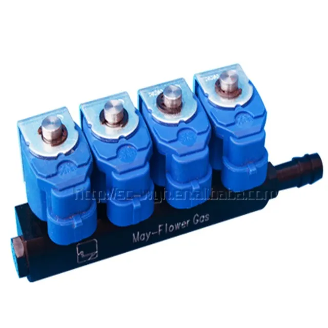 CNG gas common rail fuel injector CNG auto