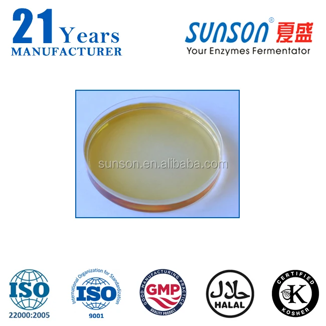 Xylanase used as beer brewing enzymes industry XY22L
