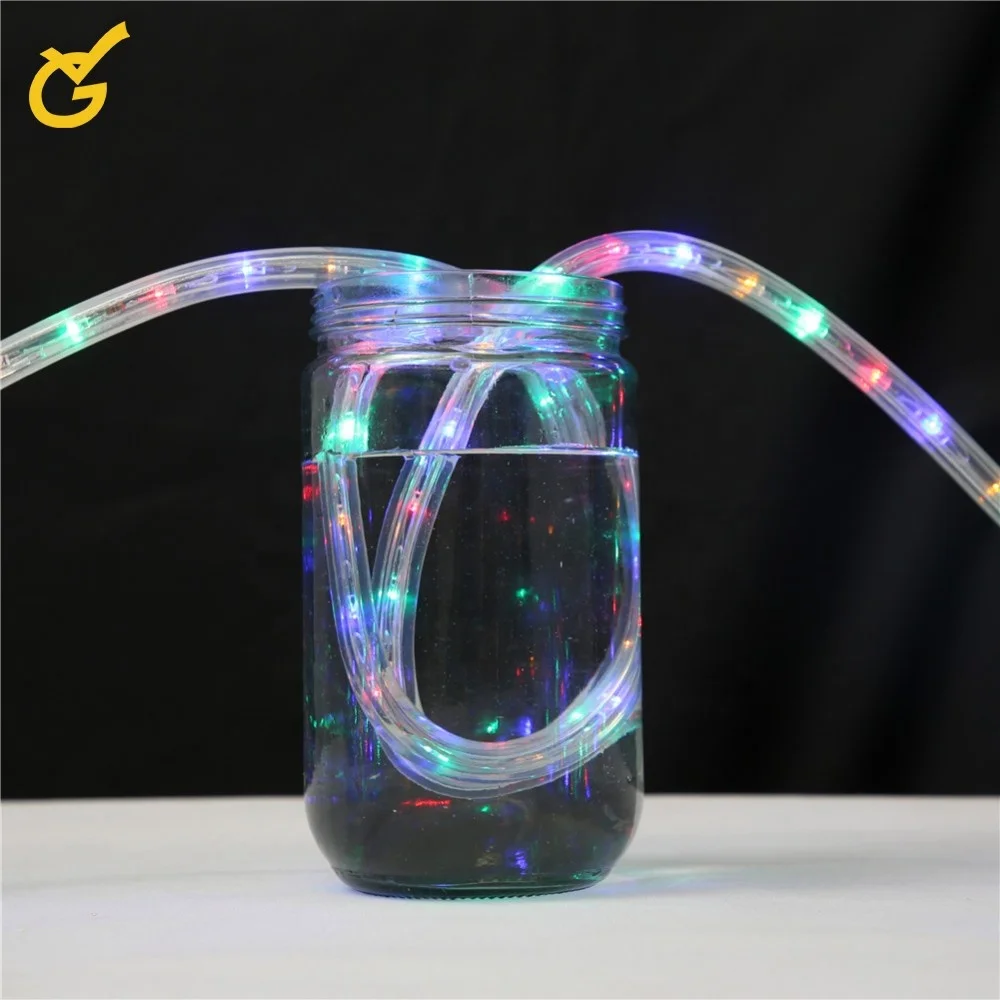 50M 100M Per Roll LED Strip Light Waterproof IP65 Outdoor 110V 220V LED Rope Light