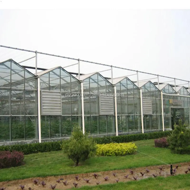 Intelligent control tempered greenhouse glass climate control system