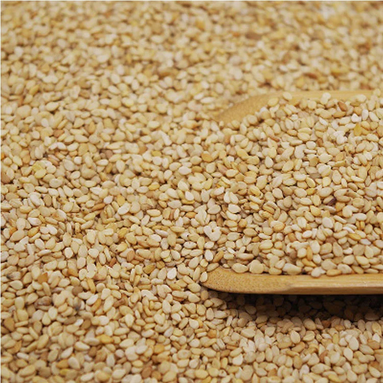 Natural sesame seeds  Raw sesame seed   Organic white sesame  exporter