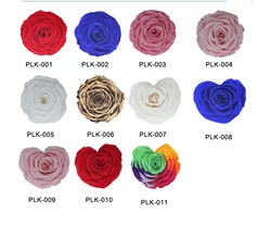 rainbow preserved rose flowers in glass wishing bottle with light in red colour single gift box wholesale for valentines