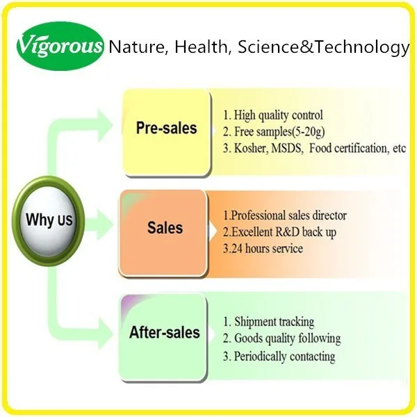 
High Quality Hops Flower Extract 