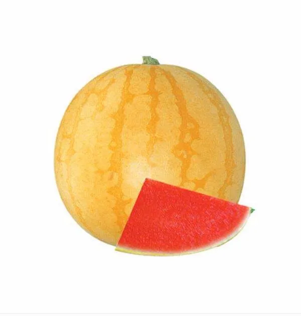 
Гибридные семена арбуза Golden King, желтые фрукты 