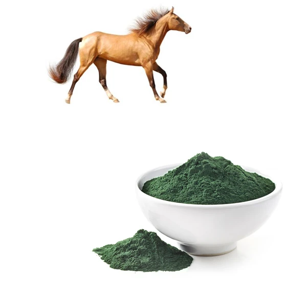 100%  Pure Natural Blue Spirulina Powder Spirulina for horse Food