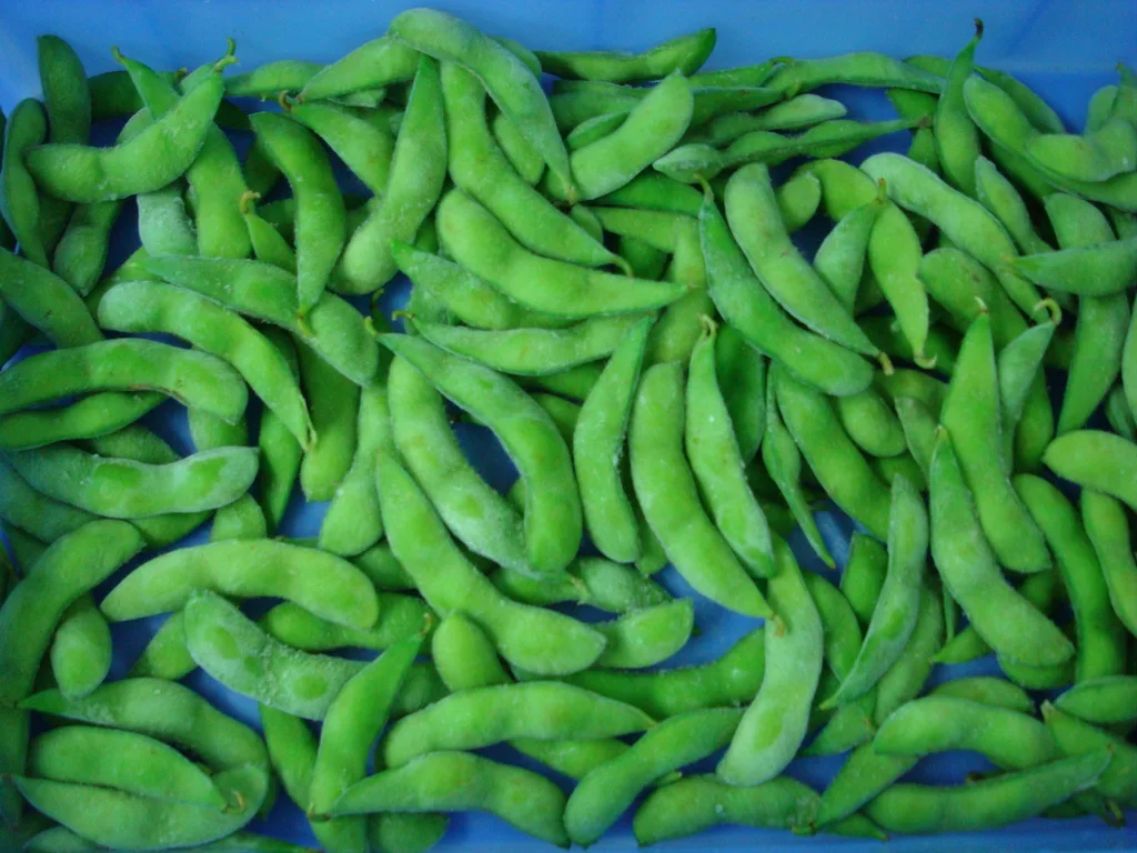 IQF Vegetable ISO Frozen Green Edamame Brands