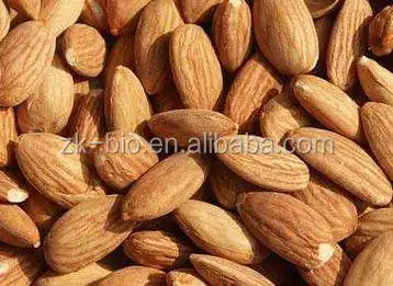 Competitive Almond Nuts Price