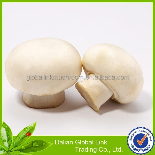 Консервированные кусочки грибов