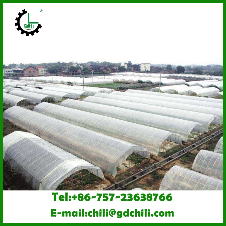 Big size transparency film perfect toughness vegetables plastic film for greenhouse