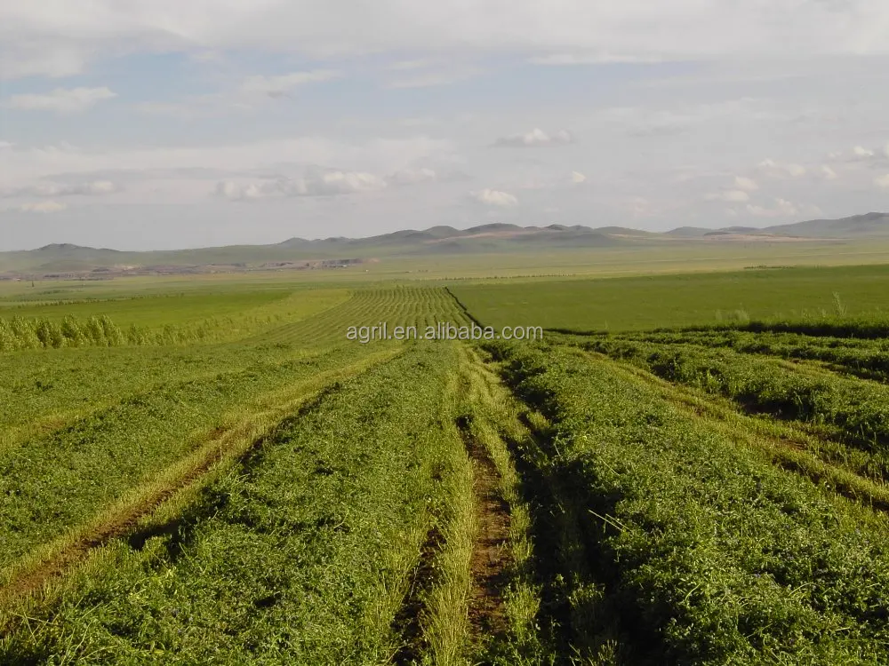 new design best quality tractor PTO use disk mower, hay mower. grass mower, lawn mower