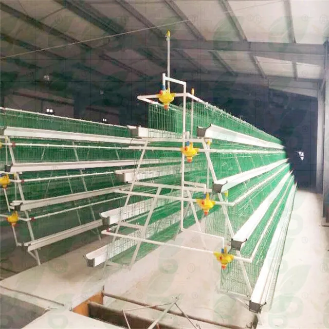  Хорошая цена 4 яруса куриная Батарейная клетка для кур-несушек используемые птицеводства оборудование