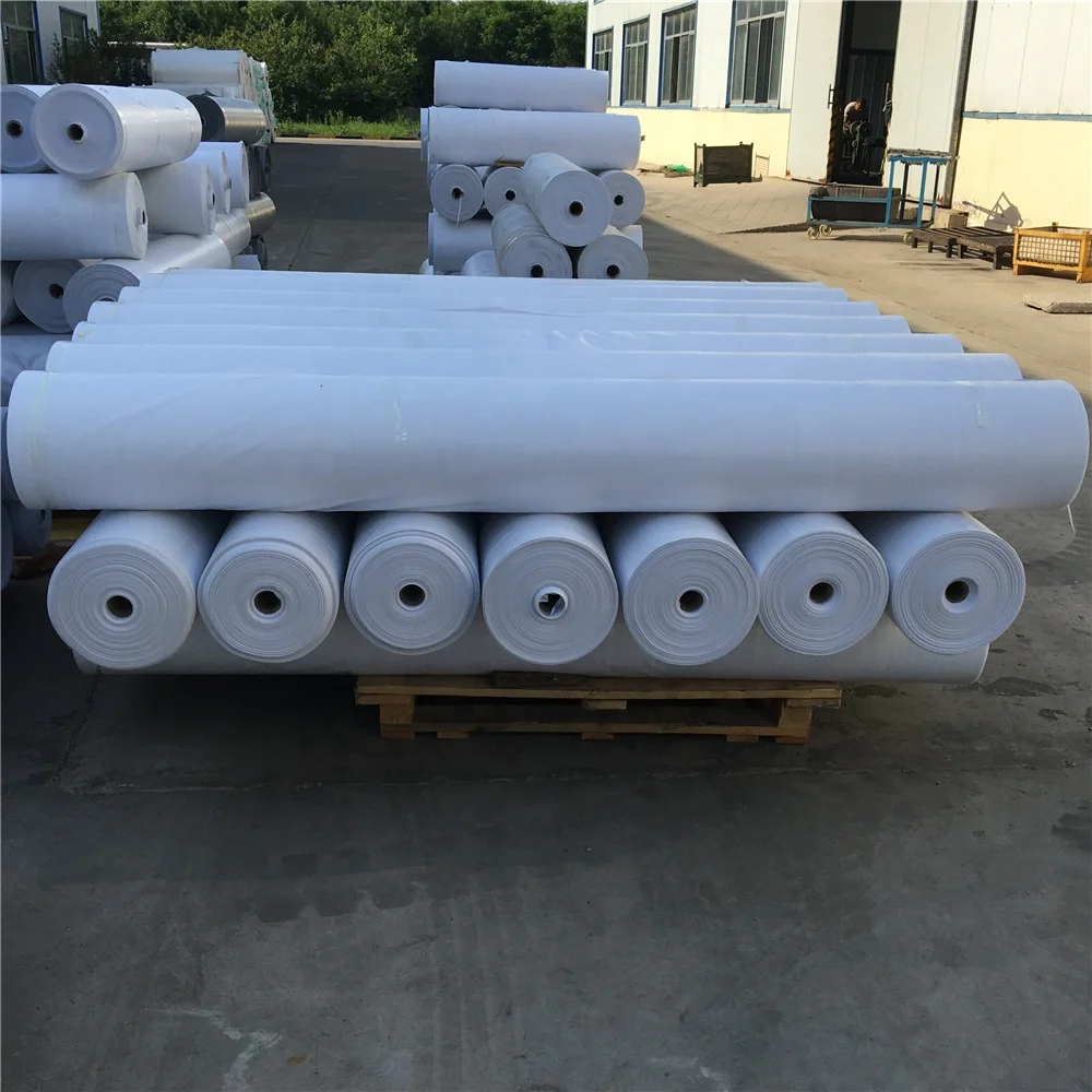 China Manufacturer All Kinds Waterproof Heavy Duty Tarp Canvas PE Tarpaulin Roll