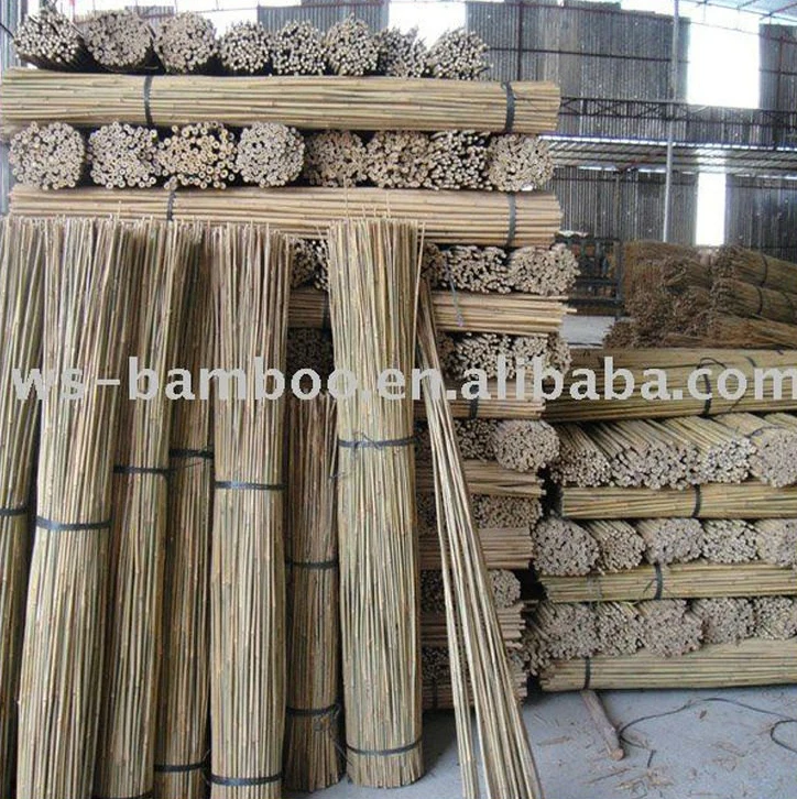 bamboo canes for gardening  305CM 24-26MM