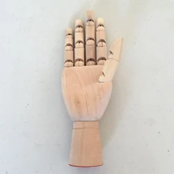 Wooden hand model