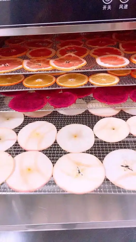 2019 Brand new 12-layer stainless steel Fruit Drying Machine & fruit dryer machine