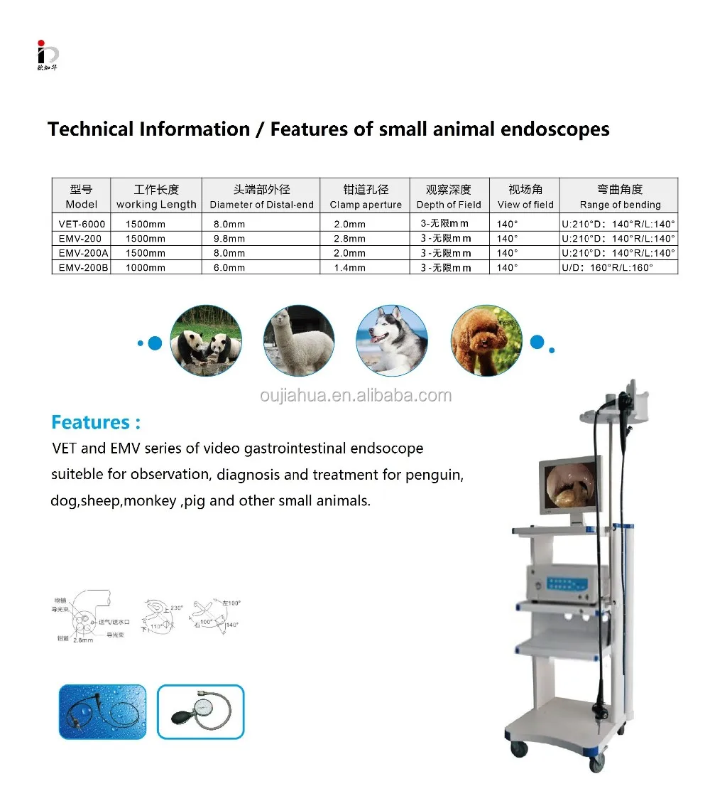 
OJH hotsale clinic use flexible Veterinary gastroscope for pets / animal and hospital 