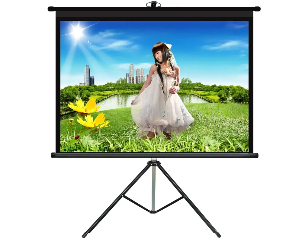 Роскошные горячий продавать портативный 120 дюймов матовый белый штатив Стенд проекционный экран