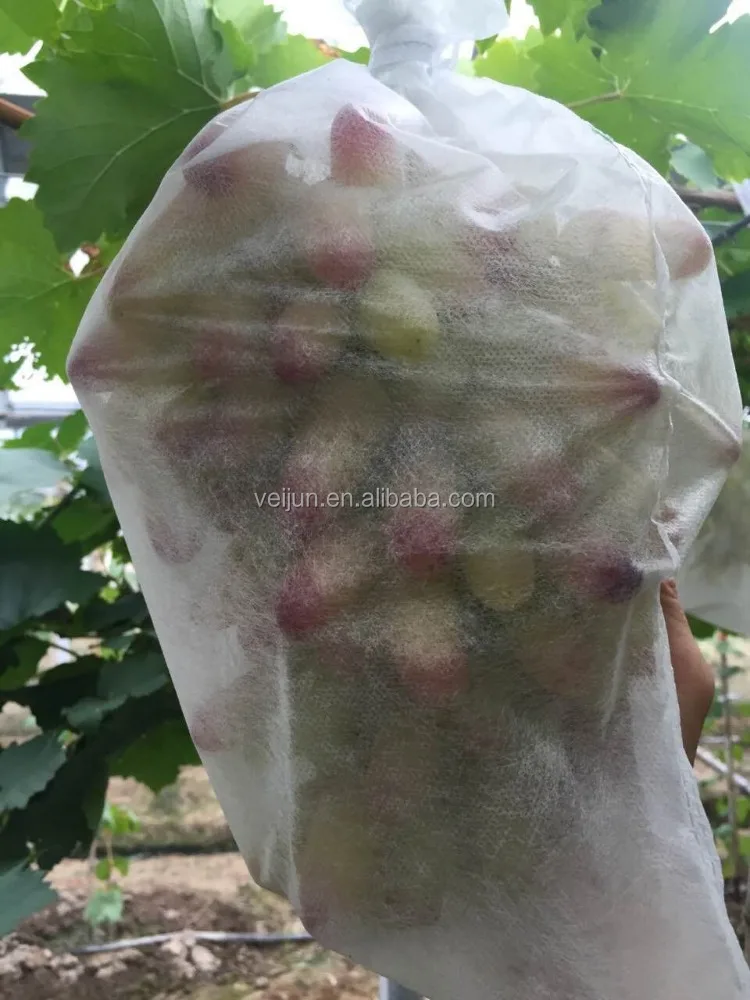 
Breathable polypropylene nonwoven protection grape bags for grewing 