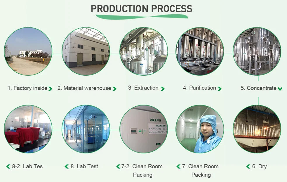 
High Quality Nelumbo Nucifera Extract Lotus Leaf Extract Nuciferine 