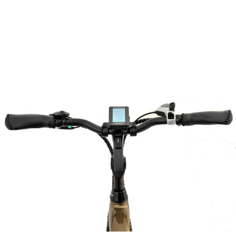 250W XOFO Motor Front Drive 3 Big Wheel Electric Bike