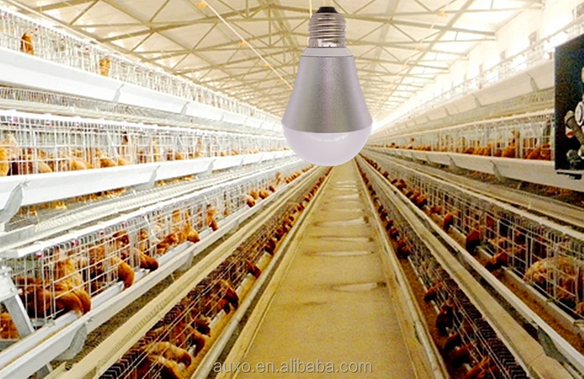 Led Chicken Farm Light Waterproof Light Bulb Light Waterproof Dimmable Led Bulb Led Poultry Farm Lighgt For Chicken Farm